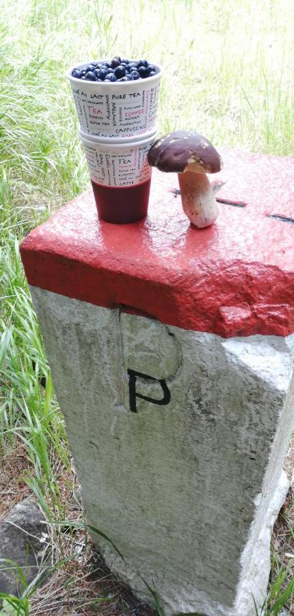 Dame Vam Pokoj - 4 Pokoje Se Sdilenou Kuchyni, Kapacita Max 9 Osob Гаррахов Экстерьер фото